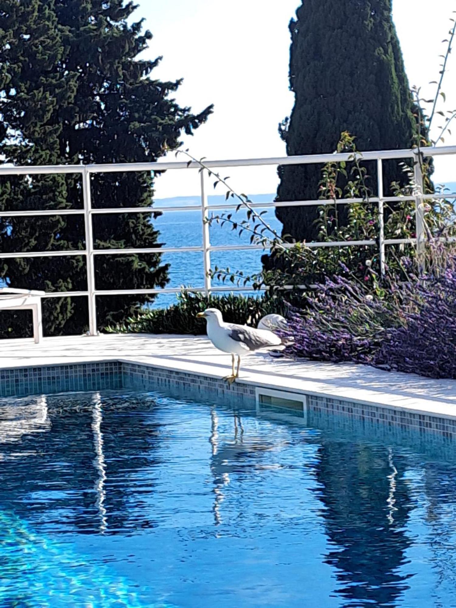 Apartment With Private Pool Split Dış mekan fotoğraf